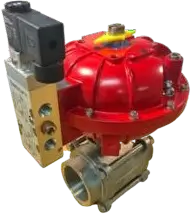 Easytork Vane Actuator